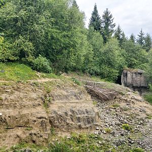Snow leopard enclosure