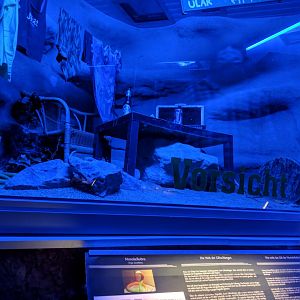 Indian Cobra Enclosure