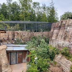 Congo grey parrot aviary in the background and rhino and giraffe house on the right - Lewa savanna