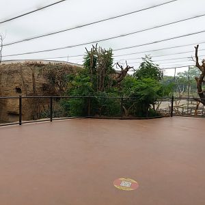 Rhino and giraffe house - Lewa savanna