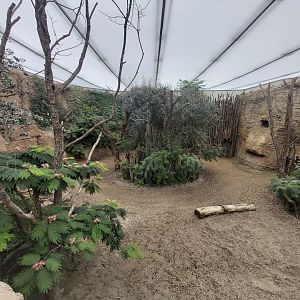 Southern white rhinoceros indoor enclosure - Lewa savanna