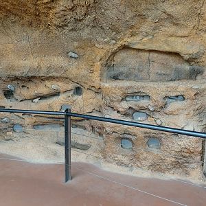 Naked mole-rat exhibit in the rhino and giraffe house - Lewa savanna