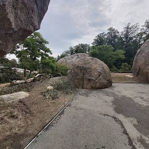 Crested porcupine enclosure - Lewa savanna