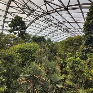 Canopy view - Masoala rainforest