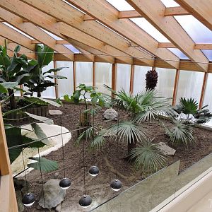 Galápagos giant tortoise exhibit [2015]