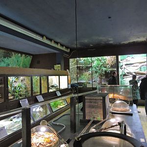 Vivarium general view [2015]