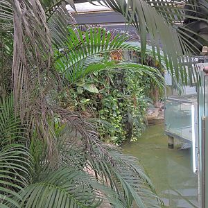 Crocodile exhibit [2015]