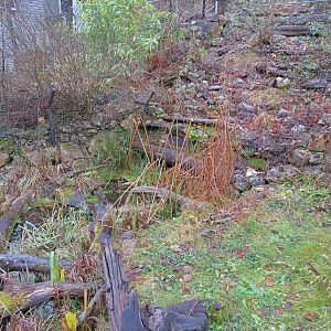 European pond turtle exhibit [2015]