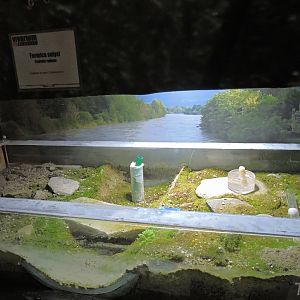 Ant terrarium [2015]