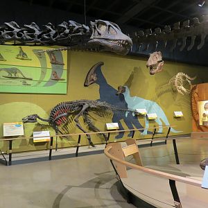 Kirtland Hall of Prehistoric Life
