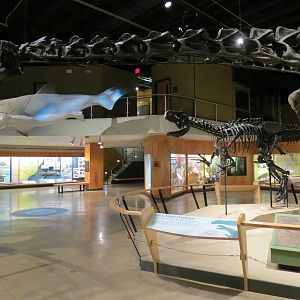 Kirtland Hall of Prehistoric Life
