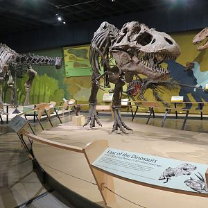 Kirtland Hall of Prehistoric Life