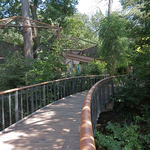 Bald Eagle and Golden Eagle Exhibit