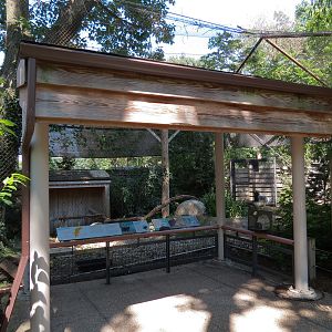 Bald Eagle and Golden Eagle Exhibit