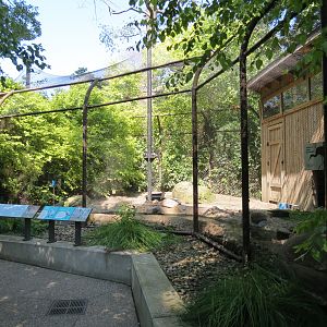 Sandhill Crane Exhibit