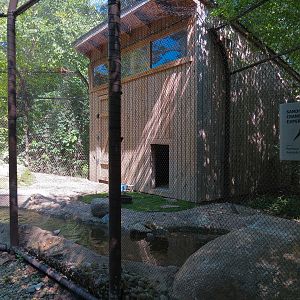 Sandhill Crane Exhibit