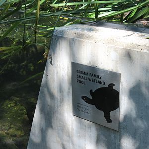 Small Wetland Pool Exhibits
