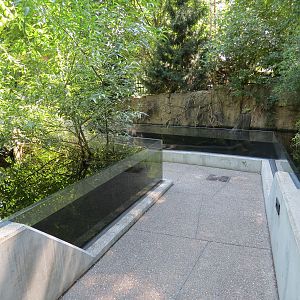 Small Wetland Pool Exhibits