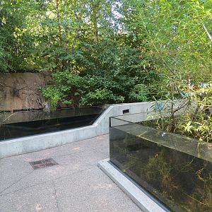Small Wetland Pool Exhibits