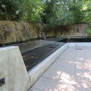Small Wetland Pool Exhibits
