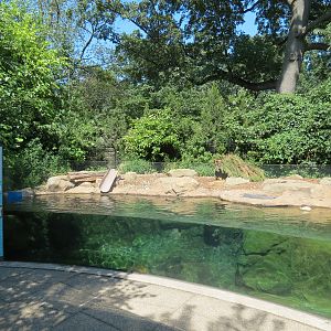 North American River Otter Exhibit