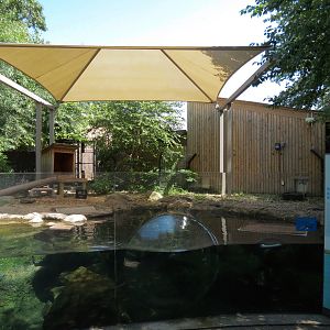 North American River Otter Exhibit