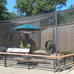 Striped Skunk Exhibit