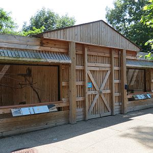 Great Horned Owl Exhibit