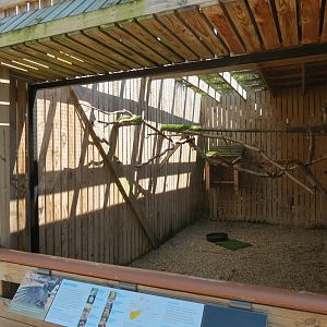 Great Horned Owl Exhibit