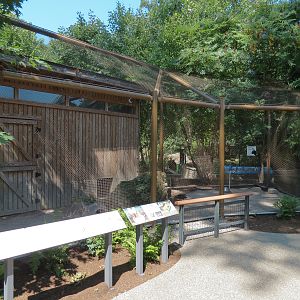 Snowshoe Hare Exhibit