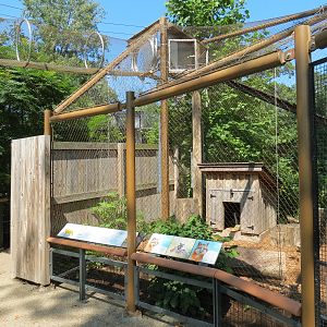 Gray Fox Exhibit with Access to Elevated Trailway
