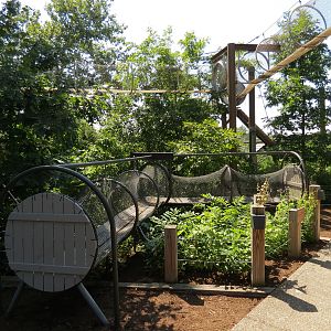 Elevated Trailway in Background, Visitor Play Structure in Foreground