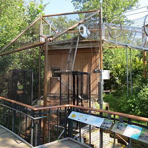 Raccoon Exhibit with Access to Elevated Trailway
