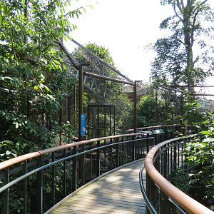 Raccoon Exhibit - Visitor Boardwalk