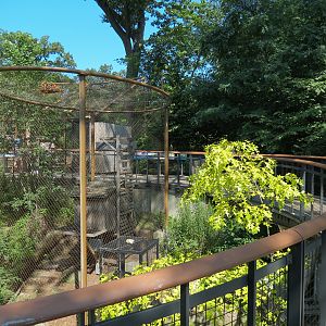 North American Porcupine Exhibit