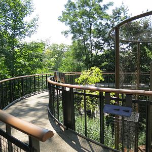 North American Porcupine Exhibit - Visitor Boardwalk