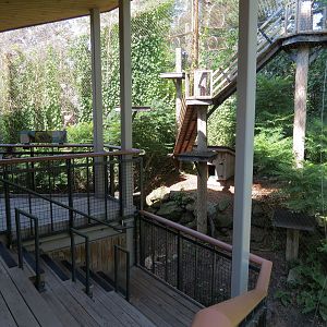Bobcat Exhibit - Viewing Shelter