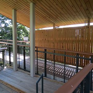 Bobcat Exhibit - Viewing Shelter
