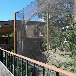 Songbird Aviary - Lower Viewing Area