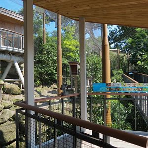 Songbird Aviary - Lower Viewing Area