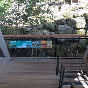 Songbird Aviary - Lower Viewing Area