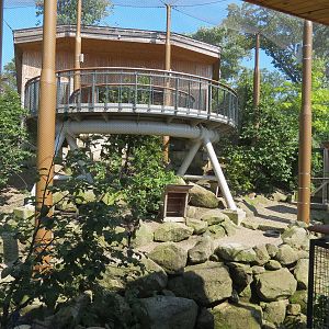 Songbird Aviary - Lower Viewing Area