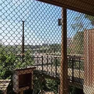 Songbird Aviary - Upper Viewing Area