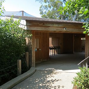 Songbird Aviary - Upper Viewing Area