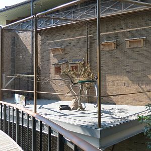Peregrine Falcon Exhibit