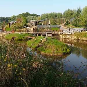 Canadian beaver exhibit, 2021-09-02