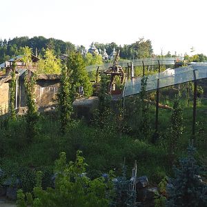 Mountain lion exhibit, 2021-09-02