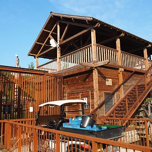 American black bear and Eurasian brown bear holding building and cage, 2021-09-02