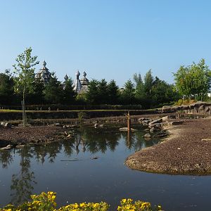 Eurasian moose exhibit, 2021-09-02