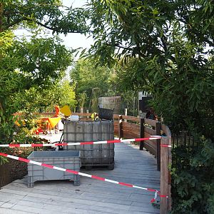 Viewing area for new exhibit between The Last Frontier and the raptor aviaries being finished, 2021-09-02